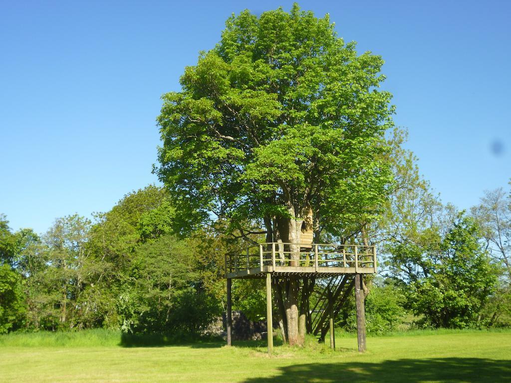 Hotel Newmoor Park Launceston Exterior foto