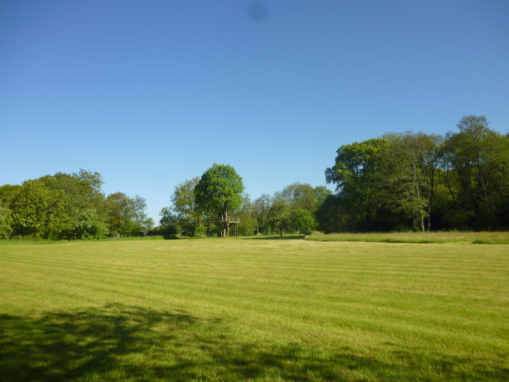 Hotel Newmoor Park Launceston Exterior foto